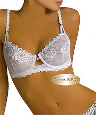 sheer lace bra - ELEONORA - lace desire bra  
